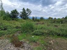 فروش زمین مسکونی 230 متر در چینی جان رودسر در شیپور