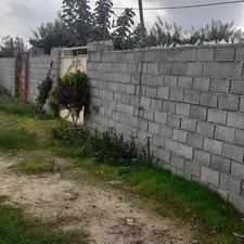 فروش زمین کشاورزی 1000 متر در مرکز شهر