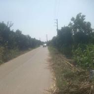 فروش زمین باغ500متری {توضیحات بخوانید}