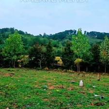 فروش زمین مسکونی 690 متر