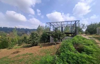 فروش زمین کشاورزی 475 متر در تنگ لته