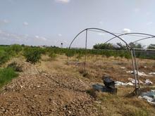 فروش باغ 2000 متر ی واقع در جاده کیاکلا در شیپور