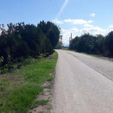 فروش باغ تامسون و نارنگی 9000 متری جاده فرح آباد درسمندک