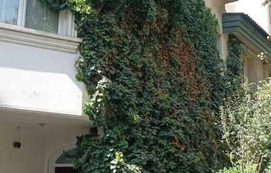اجاره ویلا 250 متر کوی یاس سوهانک