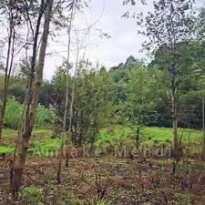 فروش زمین 900 متر