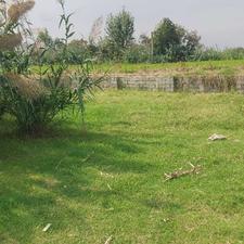 ماشین بده زمین داخل بافت بگیر