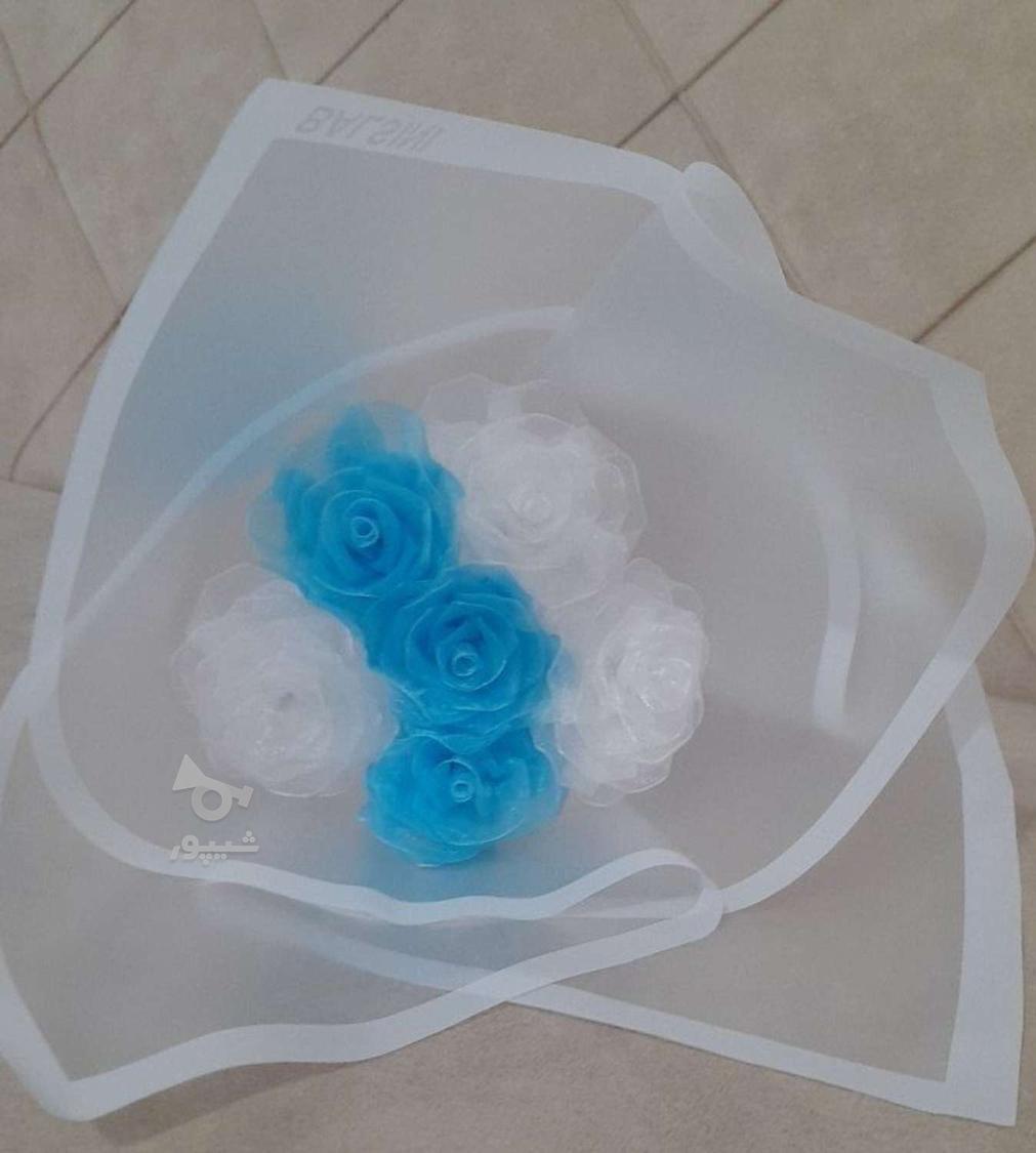 گل رز روبانی