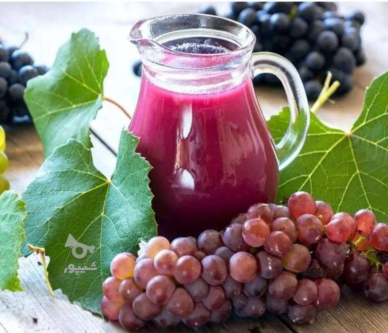 شربت انگورسیاه موژاو