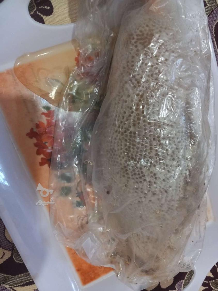 عسل کوهی طبیعی وحشی