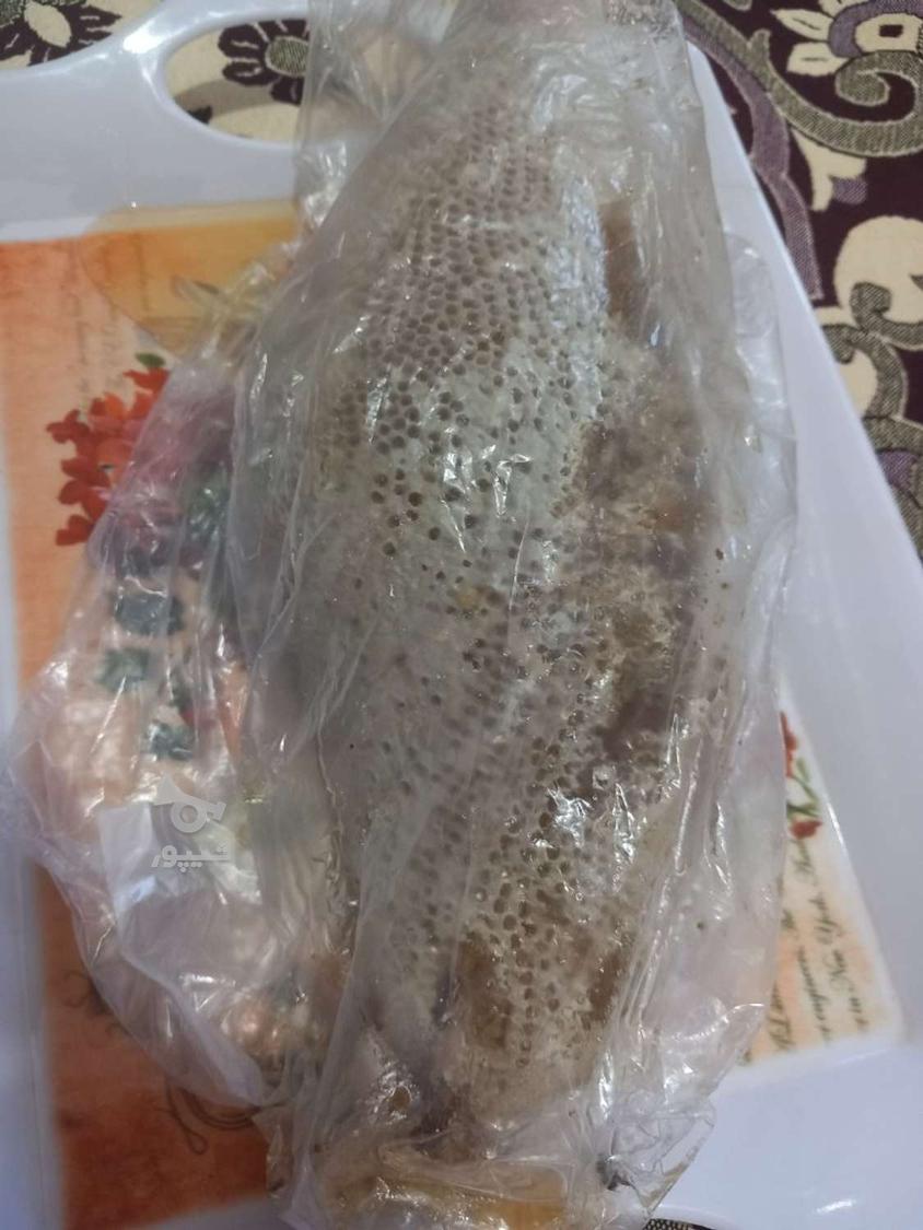 عسل کوهی طبیعی وحشی