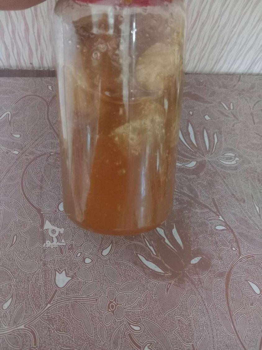 عسل کوهی طبیعی وحشی