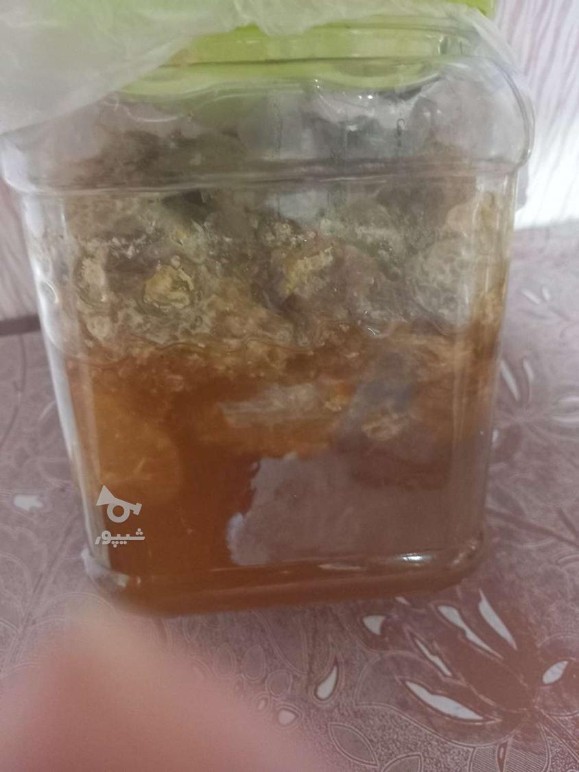 عسل کوهی طبیعی وحشی