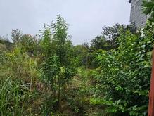 فروش زمین مسکونی 203 متر در اهلم در شیپور