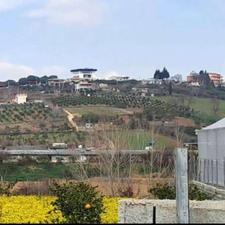 فروش کشاورزی 1660 متراسپورز تهاتر ملک شما با ما