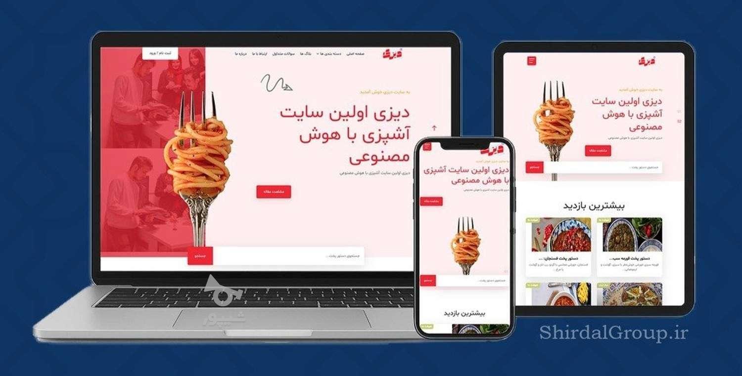 طراحی سایت فروشگاهی،شرکتی،شخصی و... در مراغه