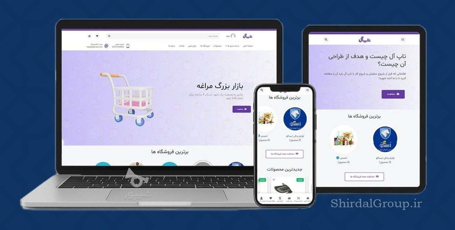طراحی سایت فروشگاهی،شرکتی،شخصی و... در مراغه