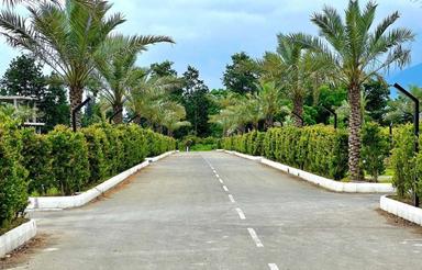 فروش زمین مسکونی /مدارک کامل/240 متر در خیرودکنار نوشهر