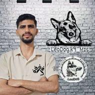 پانسیون نگهداری آموزش و تربیت لئوداگ مربی سگ مرتضی شکری