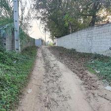 فروش زمین 200 متر در اناری