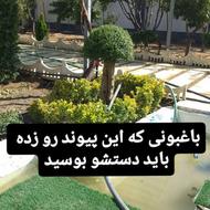 اصول باغبانی!هرس زینتی!سمپاشی!علفتراش!چمنکاری!قطع درختان خشک