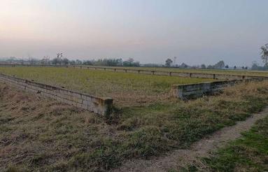 فروش یا تهاتر زمین کشاورزی 1700 متری در پلک علیابا ویلا