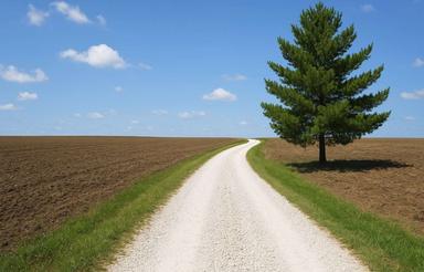 فروش زمین مسکونی 145 متر در بلوار مادر