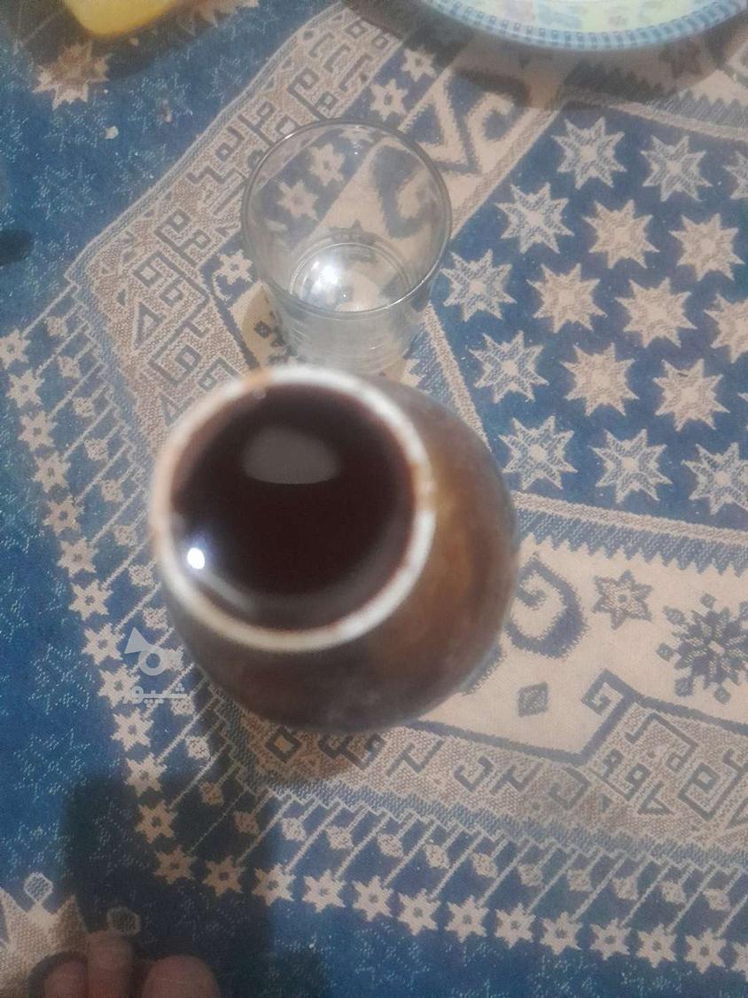 فروش ترشی آلوچه جنگلی وکوهی وتدشی کاندس