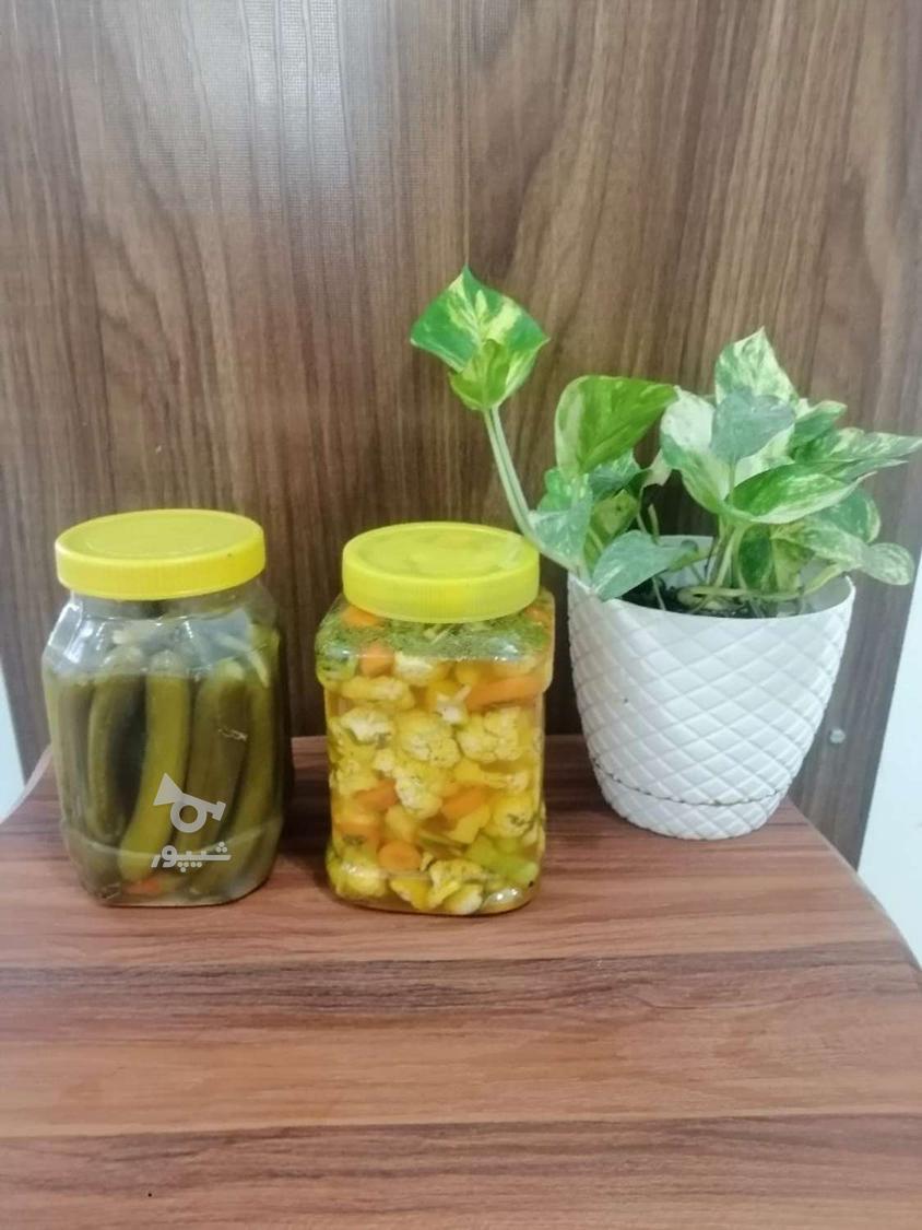 انواع ترشی
