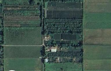 فروش باغ گلخانه فضای آزادبیرونی زمین هکتاری