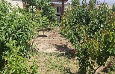 فروش تجاری و مغازه 400 متر در چهارباغ