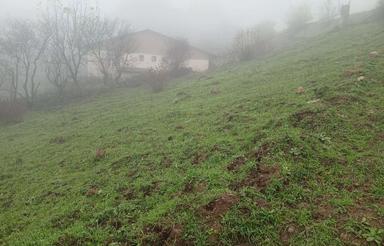 زمین در روستای ونبین به‌دلیل نیاز مالی نصف قیمت میدم