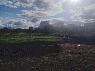 زمین فروشی جاده دریا فیروزکنده