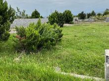 فروش زمین باغی 198 متر دوبرنش در دکتراباد در شیپور