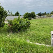 فروش زمین باغی 198 متر دوبرنش در دکتراباد