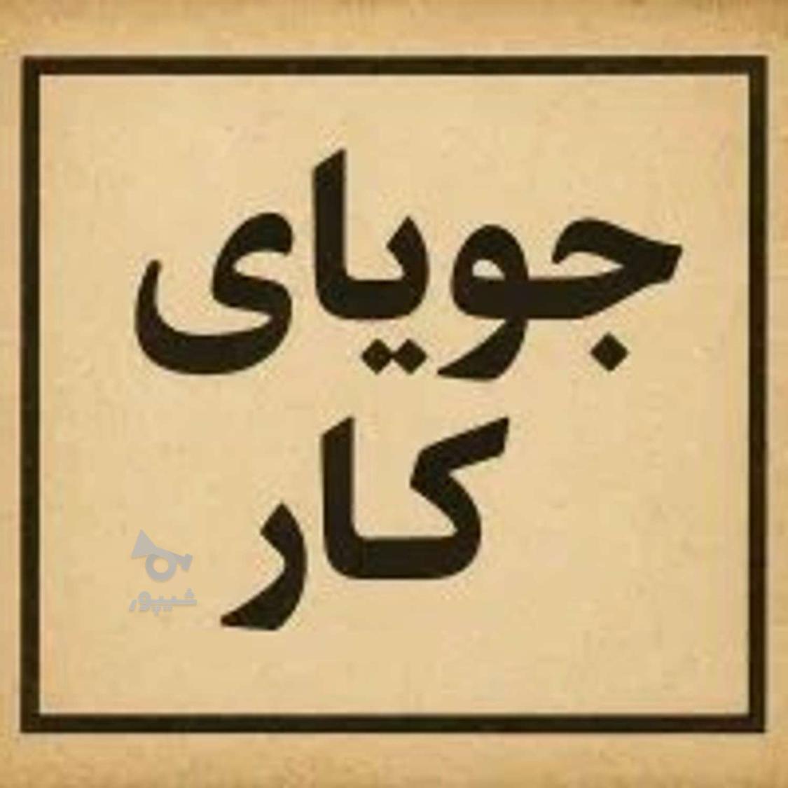 جویای کار هستم - undefined