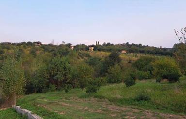 فروش زمین مسکونی 300 متر در وسطی کلا