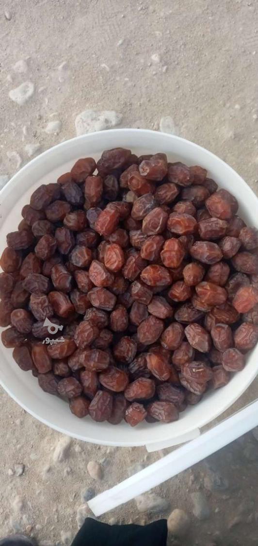 فروش انواع خرما