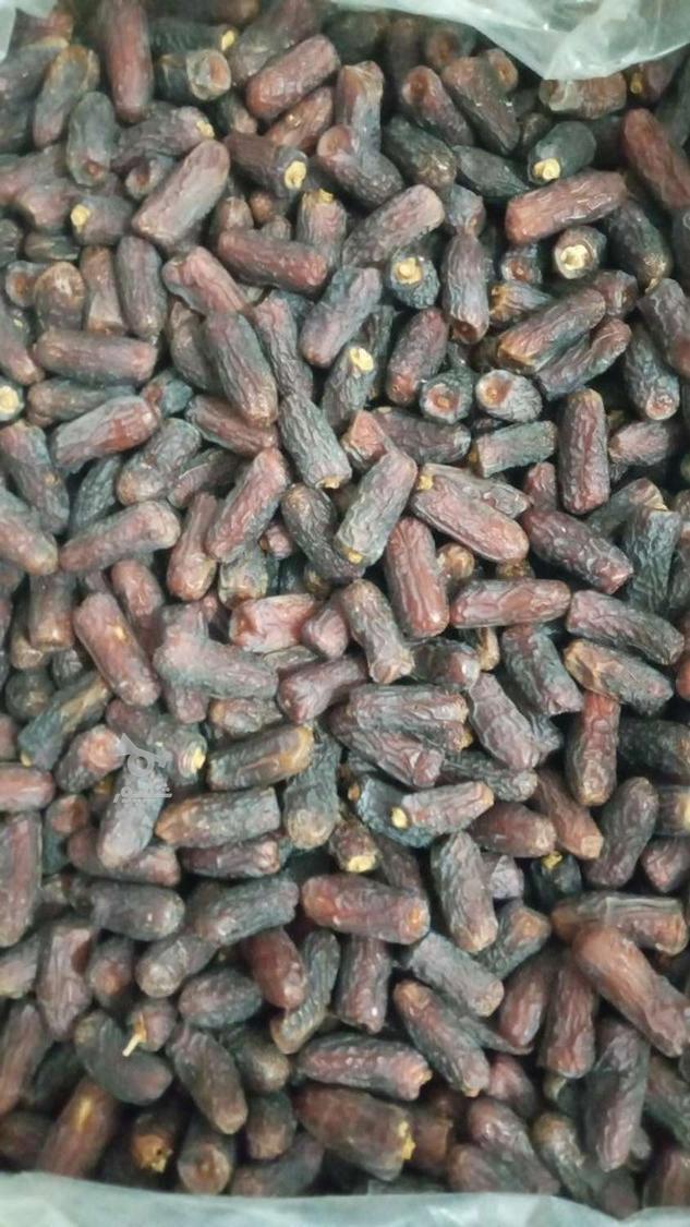 فروش انواع خرما
