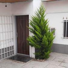 فروش ویلا 100 متر در بلوار ذوالفقاری