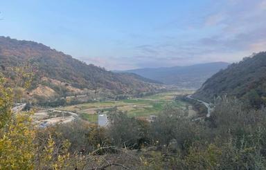 فروش زمین مسکونی 290 متر در تنگه سلیمان