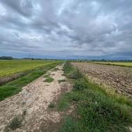 فروش زمین کشاورزی 3000 متر در خراط کلا