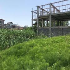 فروش زمین مسکونی 483 متر در مرکز شهر