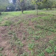 فروش زمین مسکونی 400 متر در لپاسرک