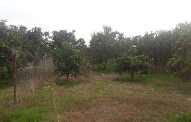 فروش فوری 200 متر زمین در قراخیل قائم شهر