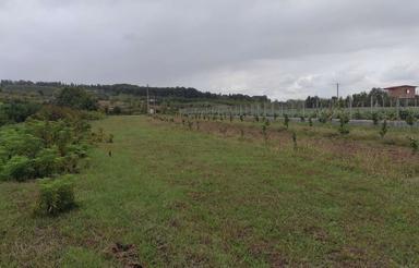 زمین 1200متری اسبوکلا ساری