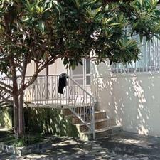 فروش یا مشارکت ویلا 450 متری در عباس آباد