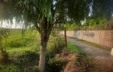 فروش باغچه 424 متری در منطقه آزادمیرود