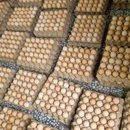 تخم مرغ محلی خوراکی ارگانیگ تازه بار روز