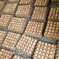 تخم مرغ محلی خوراکی کلی و جزئی فروشی