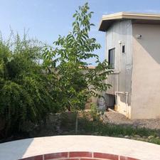 فروش زمین مسکونی 230 متر در خانه دریا